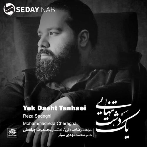 دانلود آهنگ جدید رضا صادقی به نام یک دشت تنهایی